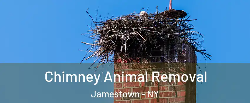 Chimney Animal Removal Jamestown - NY