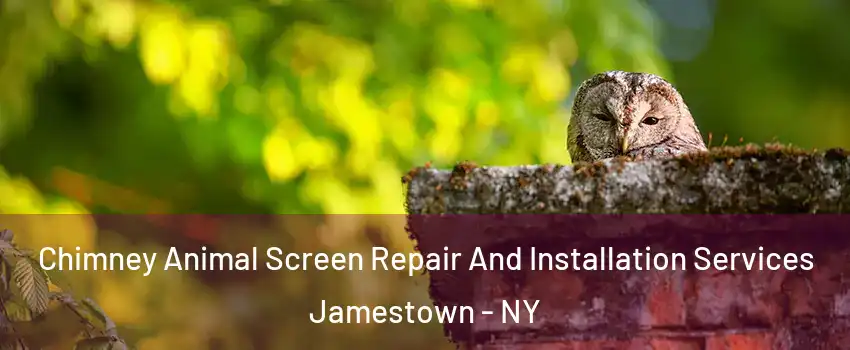  Chimney Animal Screen Repair And Installation Services Jamestown - NY