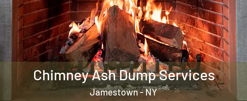  Chimney Ash Dump Services Jamestown - NY